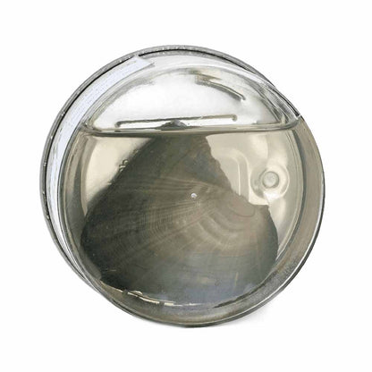 Experiencia Diamond Heart